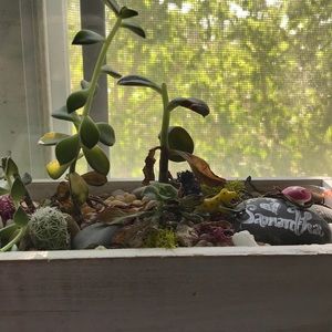 Meet your Posher, Samantha